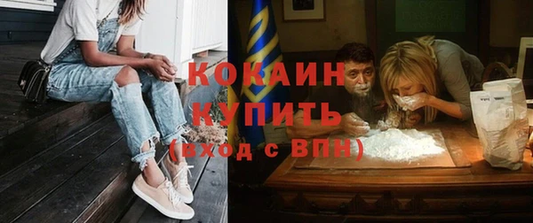 индика Заволжск