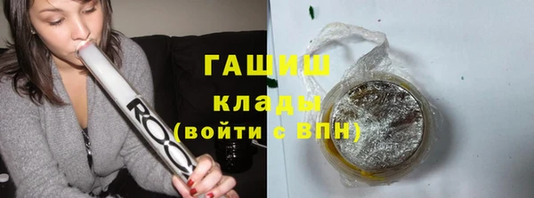 индика Заволжск