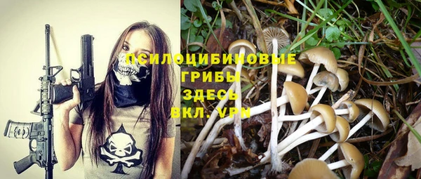 индика Заволжск