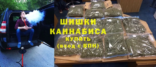 индика Заволжск