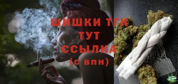 индика Заволжск