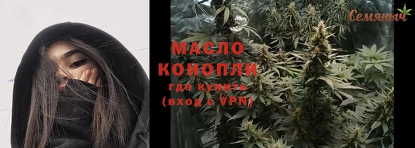 индика Заволжск