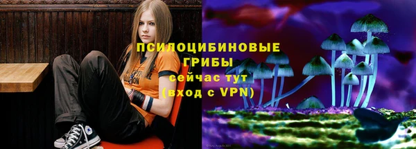 скорость mdpv Заводоуковск