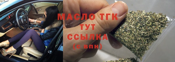 индика Заволжск
