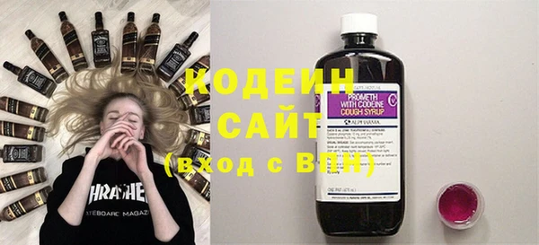 индика Заволжск